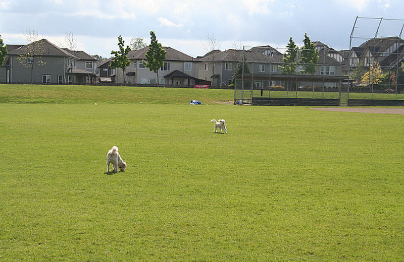 Playtime at Hillcrest Park