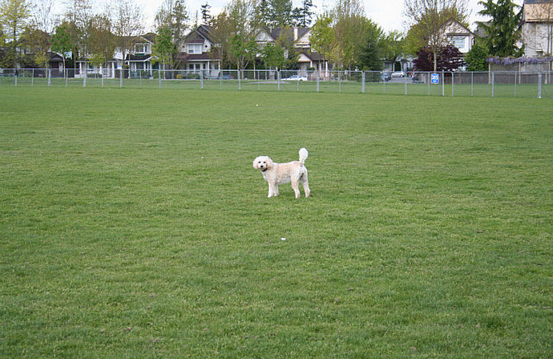 Playtime at Hillcrest Park