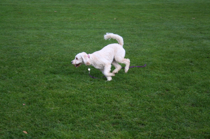 Playtime at Clayton Park