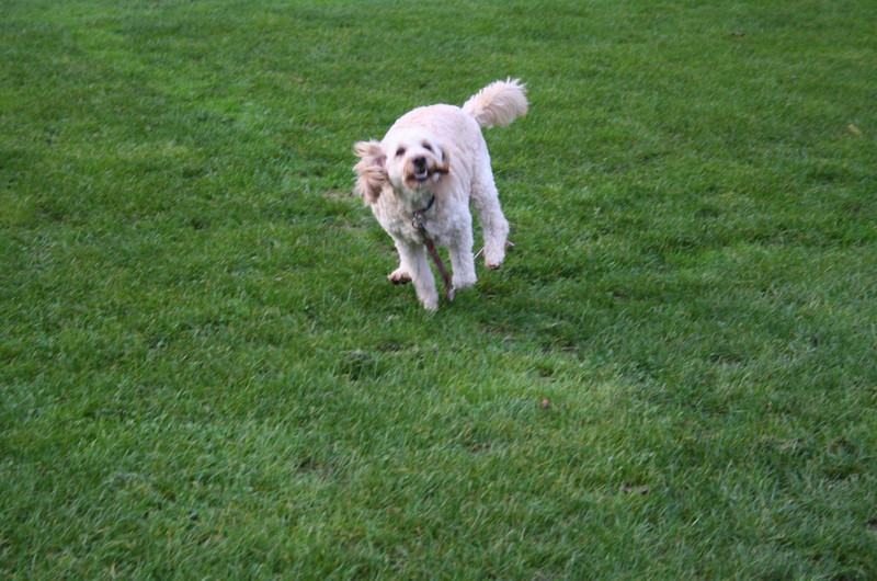 Playtime at Clayton Park