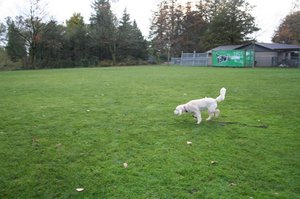 Playtime at Clayton Park