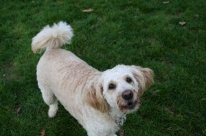 Playtime at Clayton Park