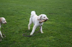 Playtime at Clayton Park