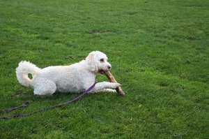 Playtime at Clayton Park