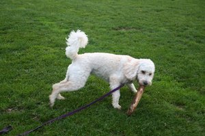 Playtime at Clayton Park