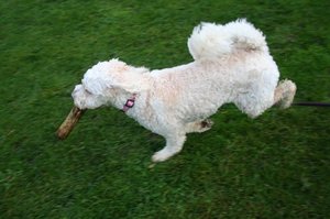 Playtime at Clayton Park