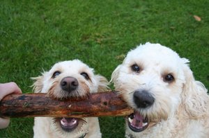 Playtime at Clayton Park