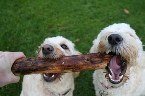 Playtime at Clayton Park