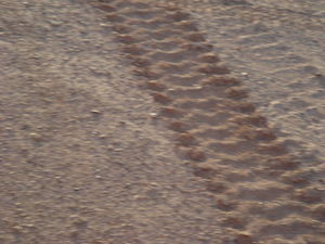 Tank tracks in the desert