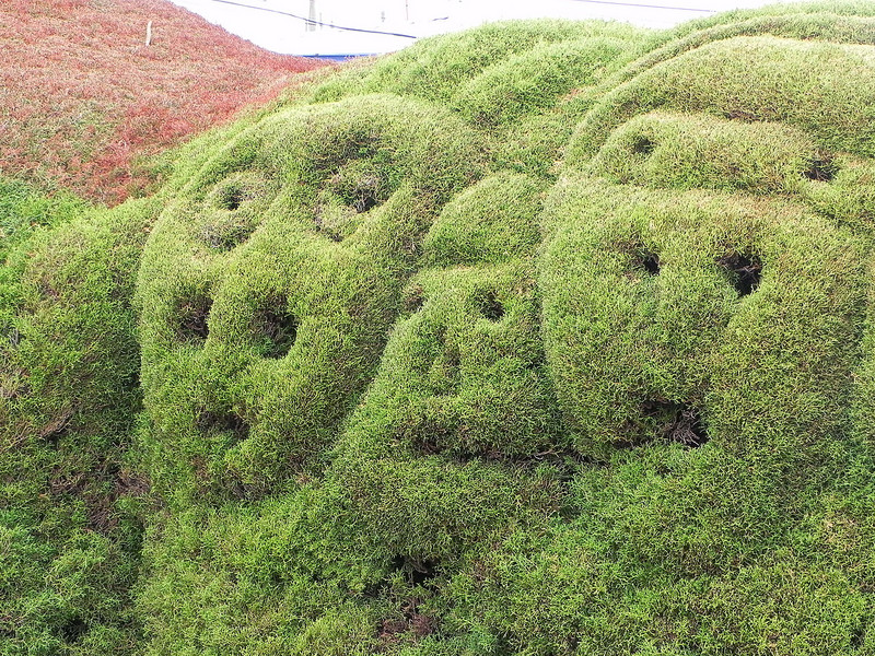 Topiary faces