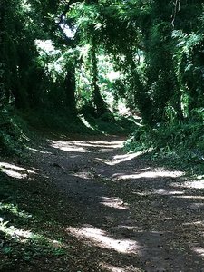 Honolua path