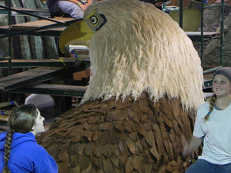 Eagle on a float