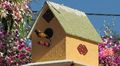 Delicate birdhouse that looks so real