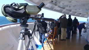 Birders perched on the ship&#39;s bow