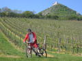Cycling among the vineyards
