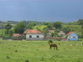 The Village of Stanicova