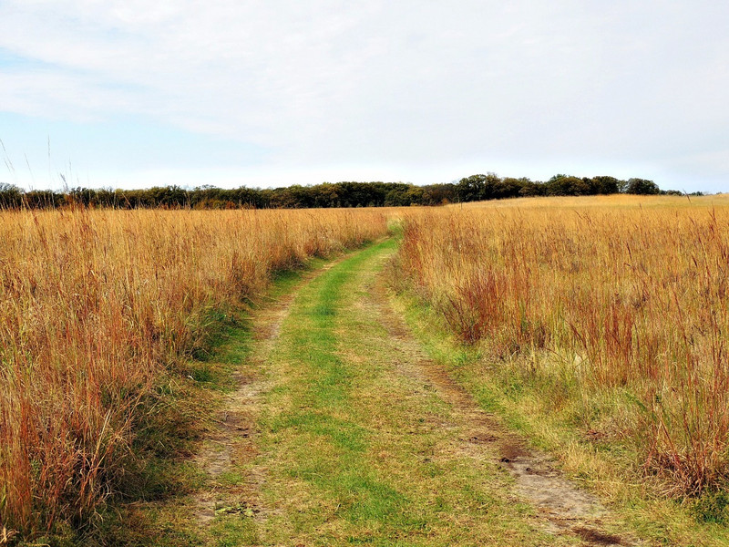 Hiking trail in the prairie. Leads to the password