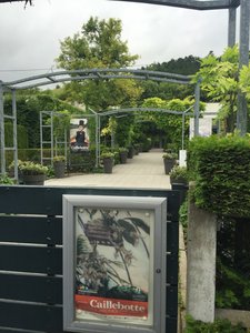 Monet&#39;s Gardens