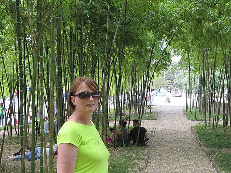 Camilla i bambusskogen