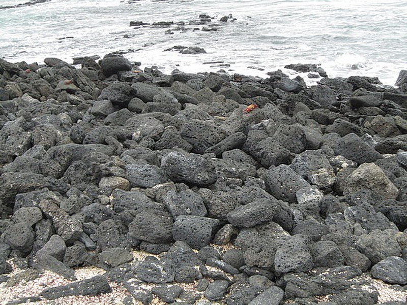 Krabber p&aring; vulkansteinene
