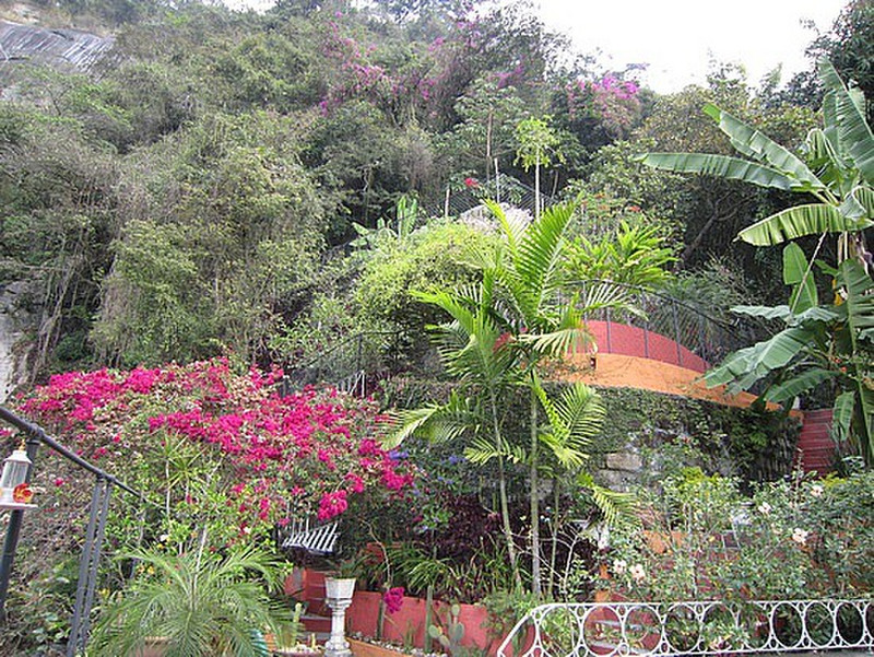 Utsikt opp mot regnskogen fra hotellet