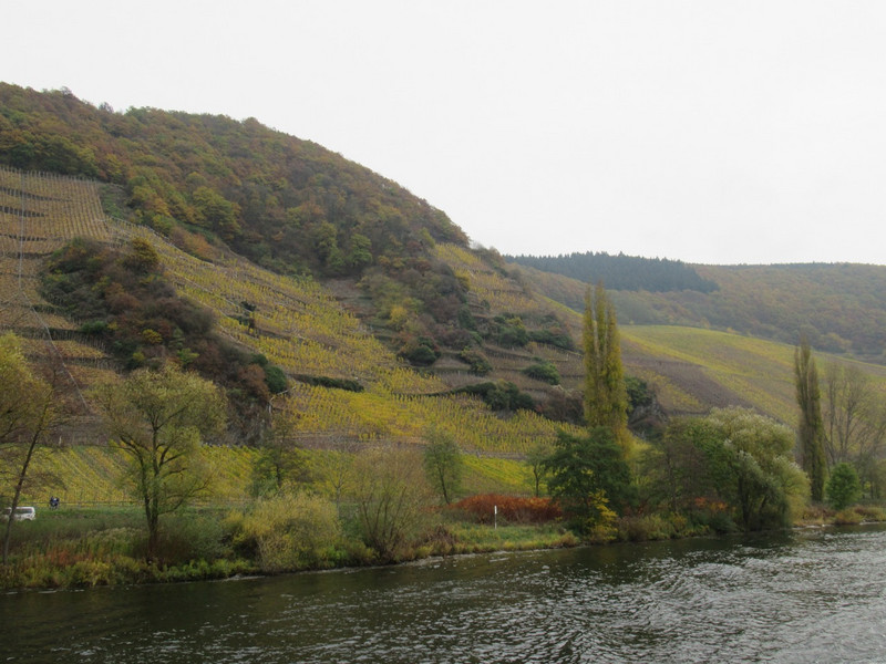 Cruising the Moselle 