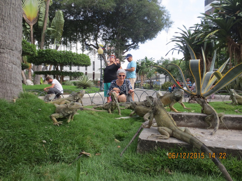 Plaza de las Iguanas