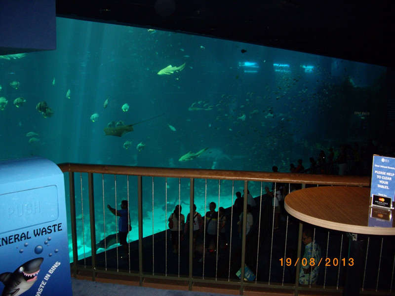 Great aquarium