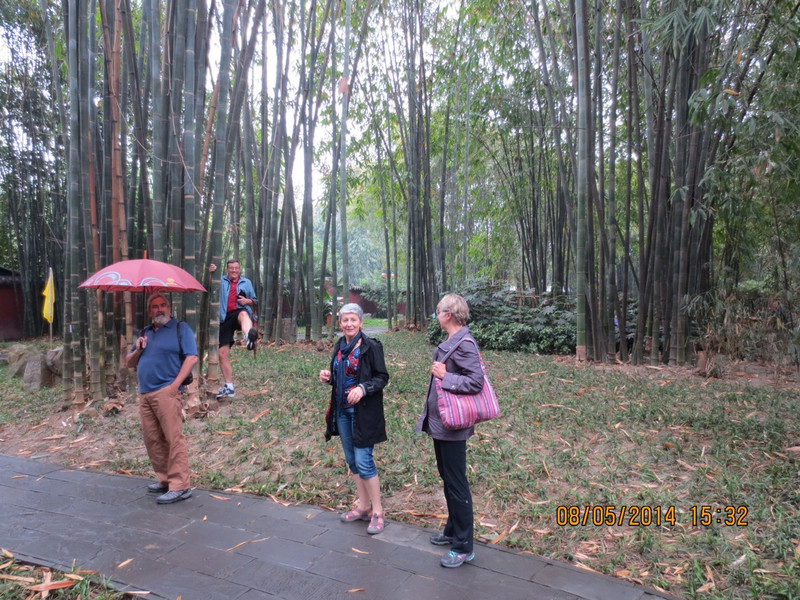 Wangjiang Bamboo Park