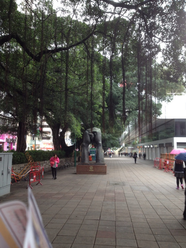 Some of the trees along Nathan Road