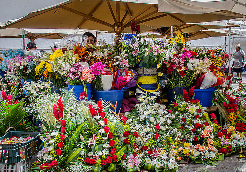 A cluster of flower stalls