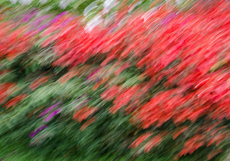 Constant blur of colours