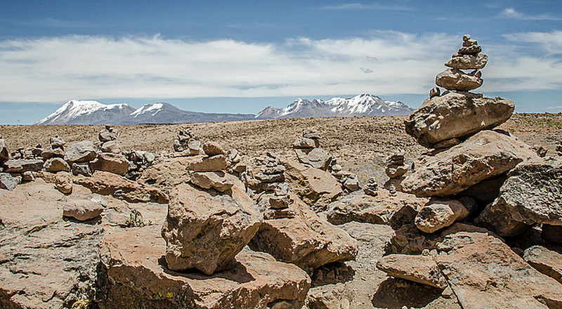 Rock Forest at Patapampa (5000 meters)