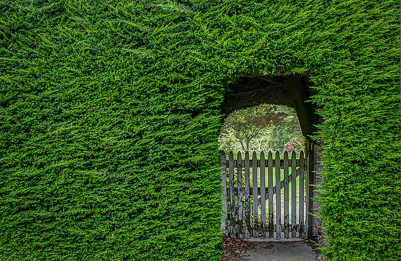 A Hedge Gateway