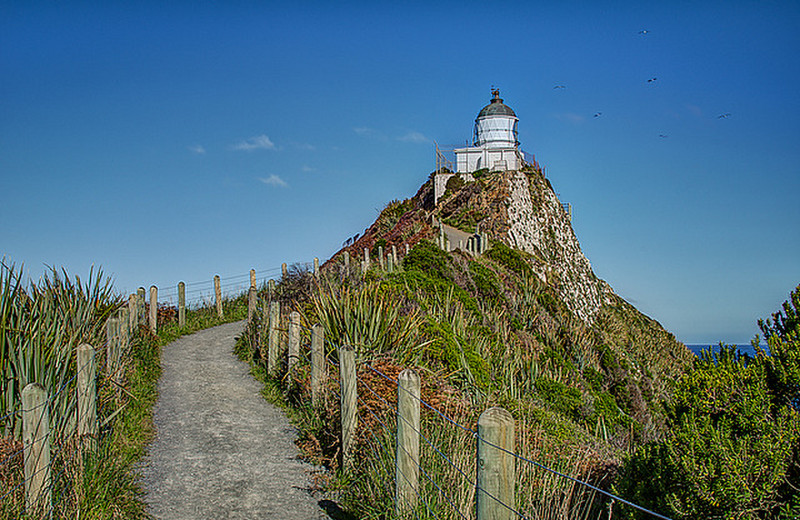 Lighthouse at Nugget Point 1