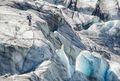 A Man Roaming Fox Glacier