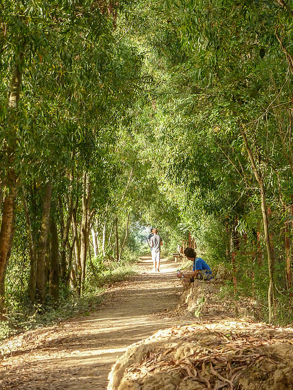 Quiet Walk at Choeung Ek (dfs)