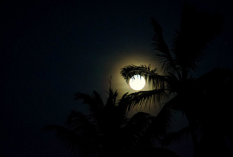 Full moon cupped by the palms
