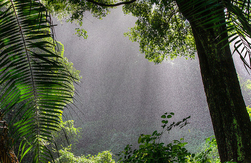Sun shower in the Zambian jungle