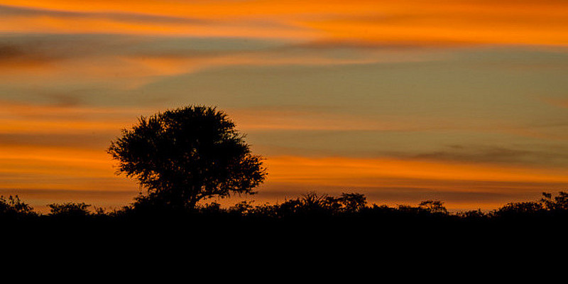 Sunset at our first campsite in Etosha I