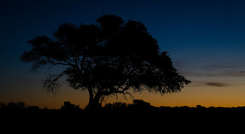 Sunset at our second campsite in Etosha I
