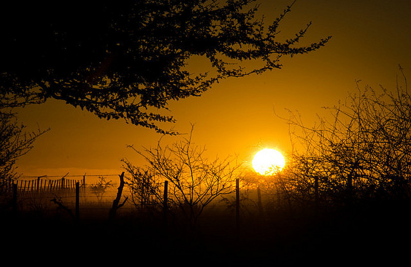 Sunrise at our second campsite in Etosha