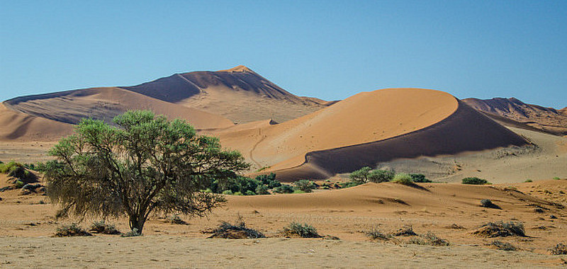 Elegent Namibian dunes I