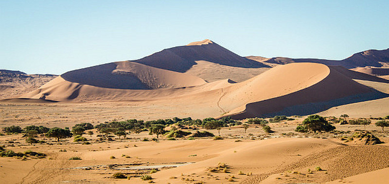 Elegent Namibian dunes III