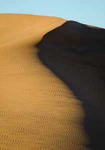 Elegent Namibian dunes V