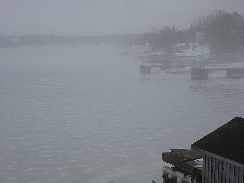 A Misty Winter Day in NS