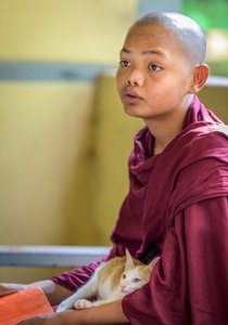 Love between kitten and monk