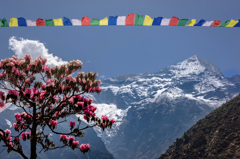 Prayer flags and blossoms