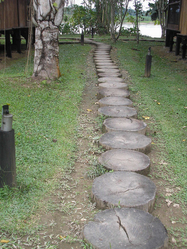 Trail through the Inkaterra Reserva Amazonica