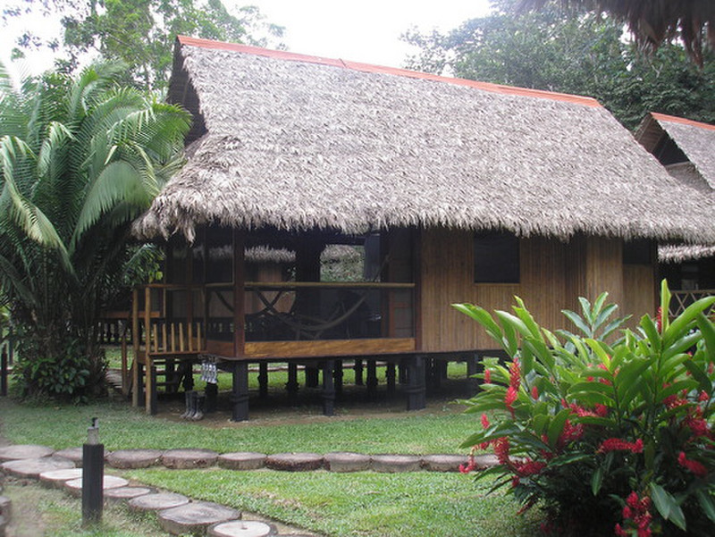 Bungalow in the Rain Forest